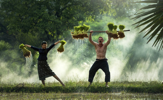 4 STEPS TO HAPPINESS FROM A ZEN-MASTER